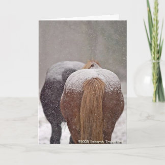 2005 OMRH Christmas Card Photo Second Place Winner