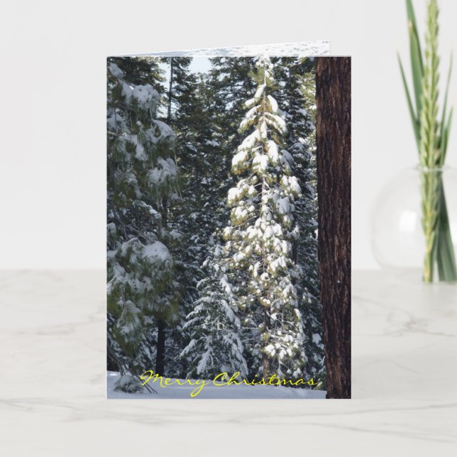 2006 Christmas Card (Front)