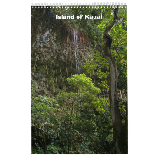 2007 Calendar:  Kauai Island Calendar