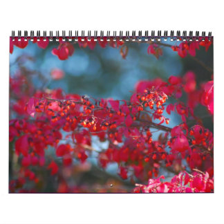 2007 Photo Calendar - Customized