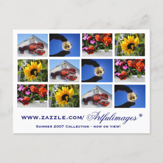 2007 Summer Collection Postcard
