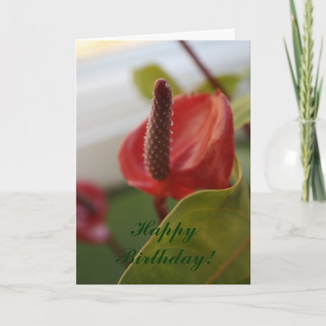 20080427_4, Happy Birthday! Card (Front)