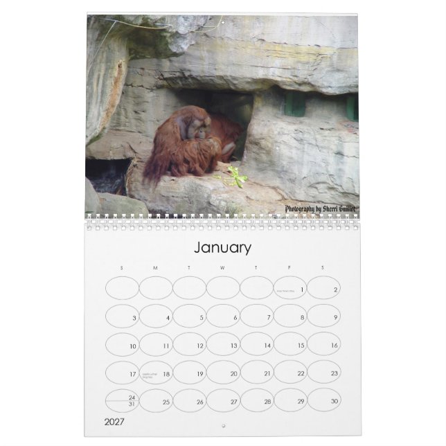 2008 Animal Calendar (Jan 2027)