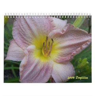 2008 Daylilies Calendar - Customized