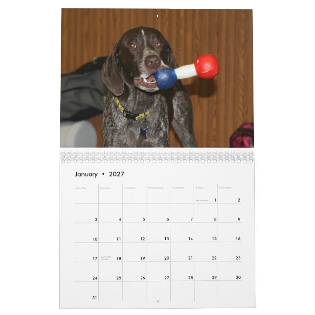 2008 Dog Calender Calendar (Jan 2027)