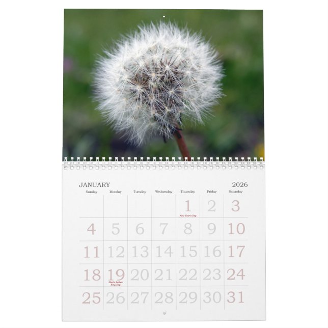 2008 Swiss Floral Showcase Calendar (Jan 2026)