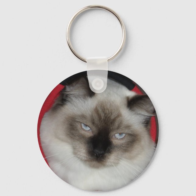 2009_12090051 KEYCHAIN (Front)