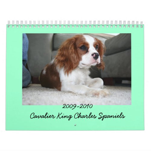 2009_2010 Cavalier King Charles Spaniel Calendar