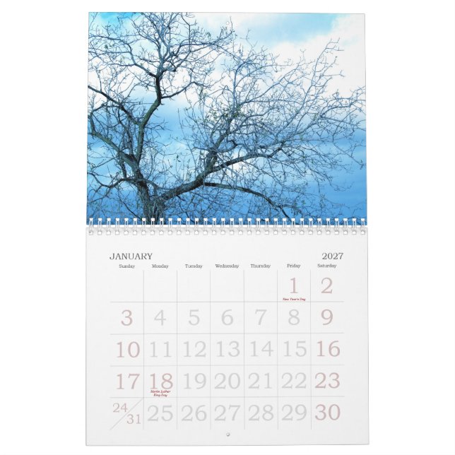 2009 by Little Gray Pixel Calendar (Jan 2027)