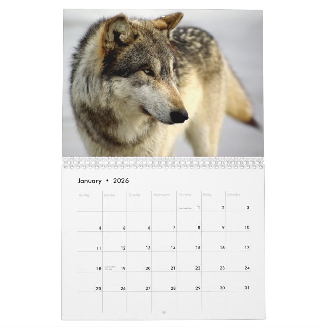 2009 Calendar (Jan 2026)