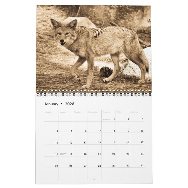 2009 Calendar (Jan 2026)