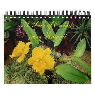 2009 Calendar: A Year of Orchids from Hawaii Calendar