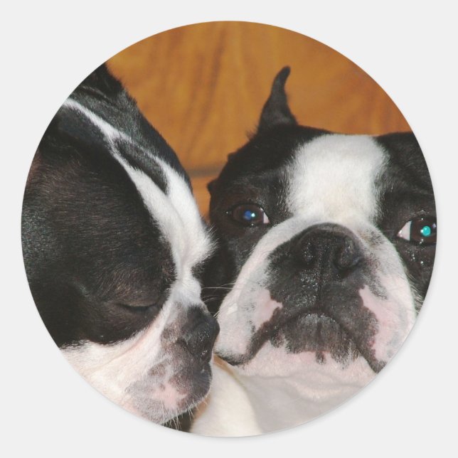 2009-Cover Classic Round Sticker (Front)