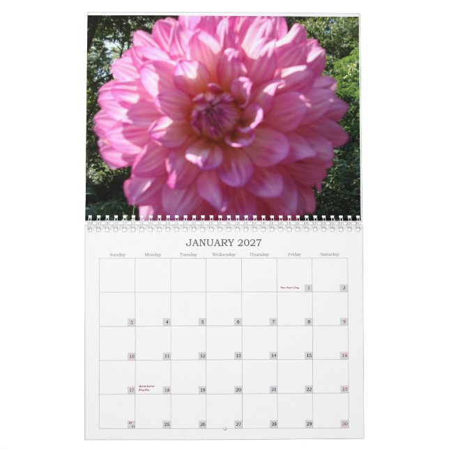 2009 Dahlia Calendar (Jan 2027)