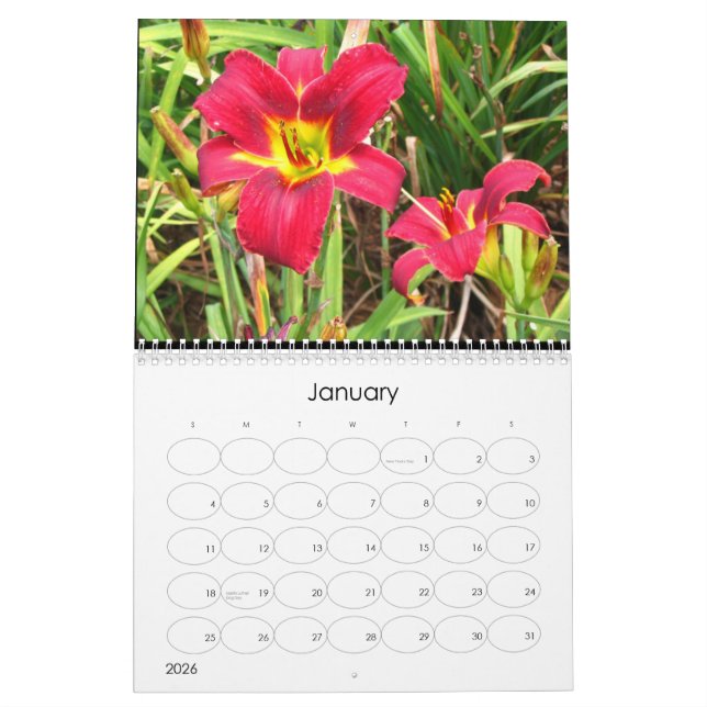 2009 Day Lily Calendar (Jan 2026)