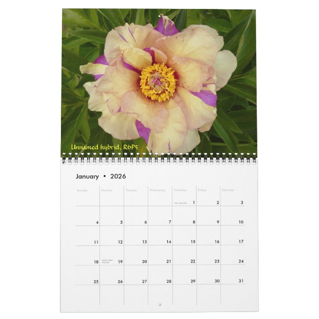 2009 Intersectional Peony Calendar - Customized (Jan 2026)