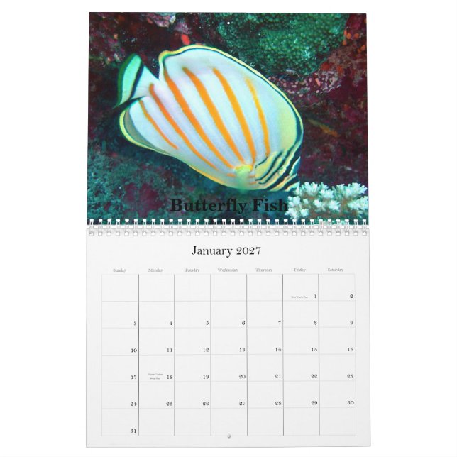 2009 Sea Life Calendar,... Calendar (Jan 2027)