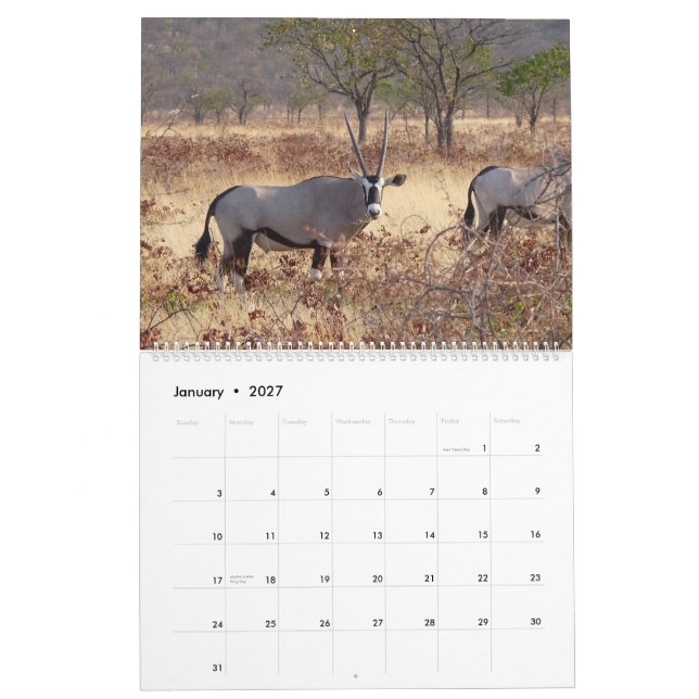 2009 Southern Africa Calendar (Jan 2027)