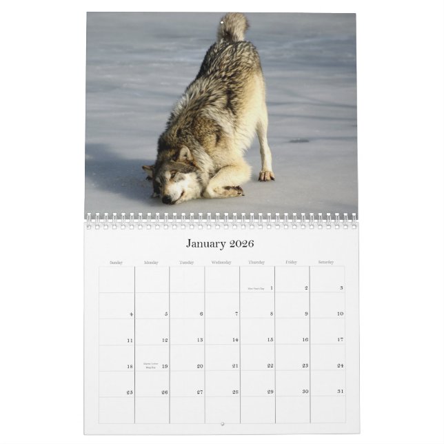 2009 Wolves Calendar (Jan 2026)