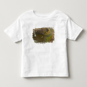 200 foot high Palouse Falls State Park in Toddler T-shirt