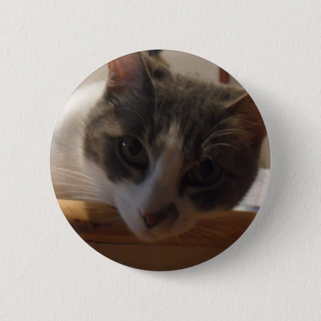 2010_04020026 BUTTON (Front)