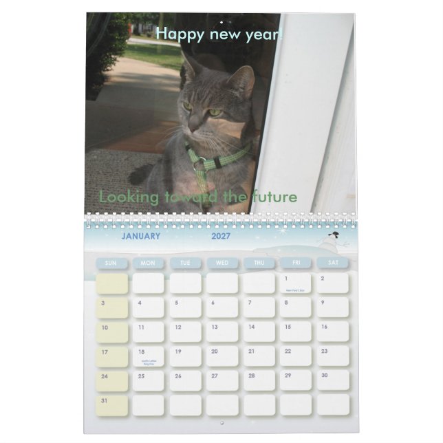 2010: A year with cats Calendar (Jan 2027)