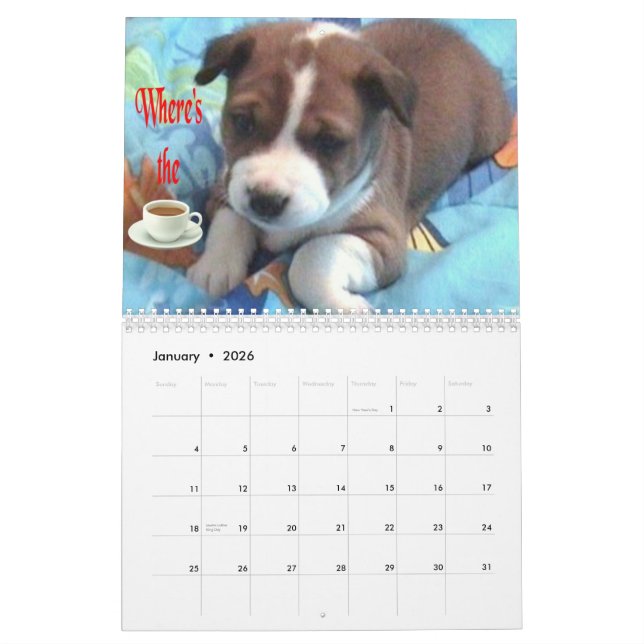 2010 Basenji Puppy Calendar (Jan 2026)