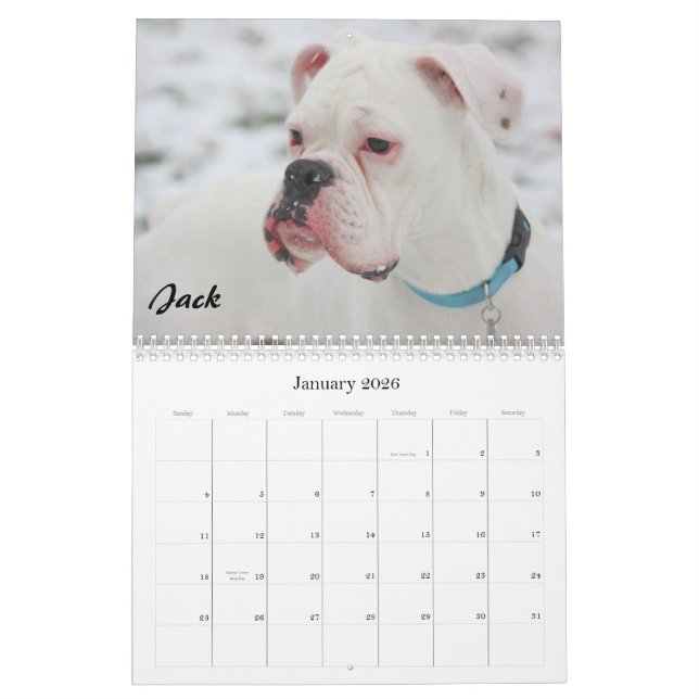 2010 BC Calendar - Plain Style (Jan 2026)