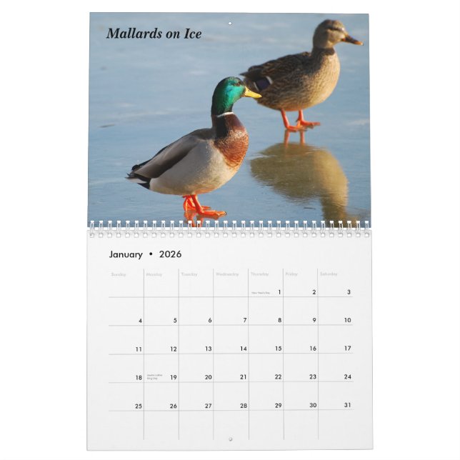 2010 Bird Calendar (Jan 2026)