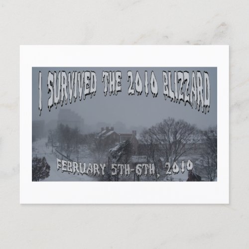 2010 Blizzard Postcard