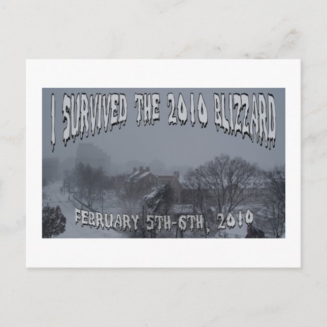 2010 Blizzard Postcard (Front)