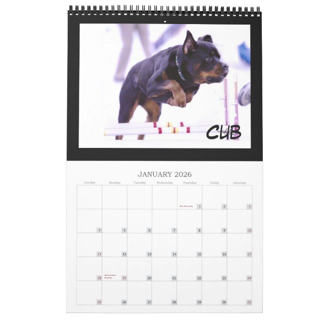 2010 C Litter Calendar (Jan 2026)