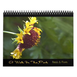 2010 Calendar - A Walk In The Park