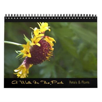 2010 Calendar - A Walk In The Park by LivingLife at Zazzle