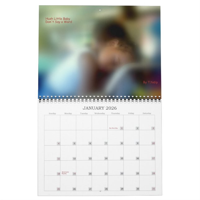 2010 Calendar Having a Ball (Jan 2026)