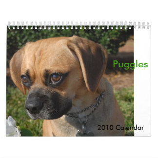 2010 Calendar, Puggles Calendar