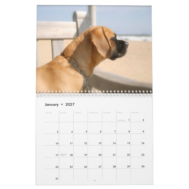 2010 Calendar, Puggles Calendar (Jan 2027)