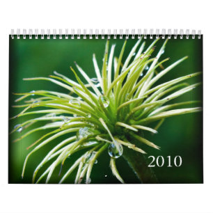 2010 Color Photography Calendar