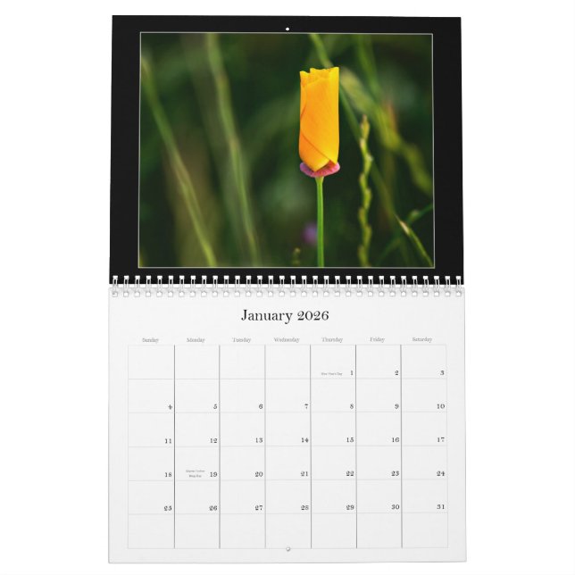 2010 Color Photography Calendar (Jan 2026)