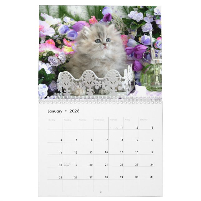 2010 Cozy Kittens Calendar - Customized (Jan 2026)