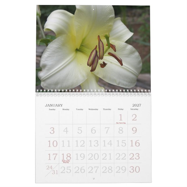 2010 Flowers Calendar (Jan 2027)