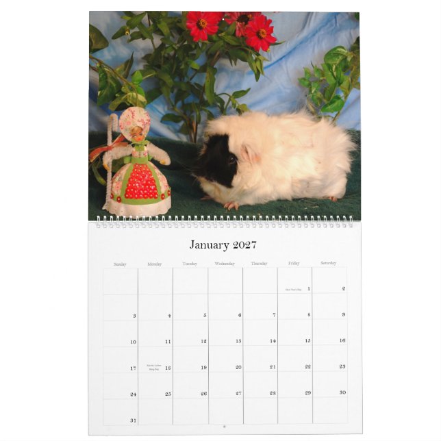 2010 Guinea Pig Love Calendar (Jan 2027)