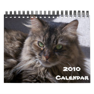 2010 Maine Coon Calendar