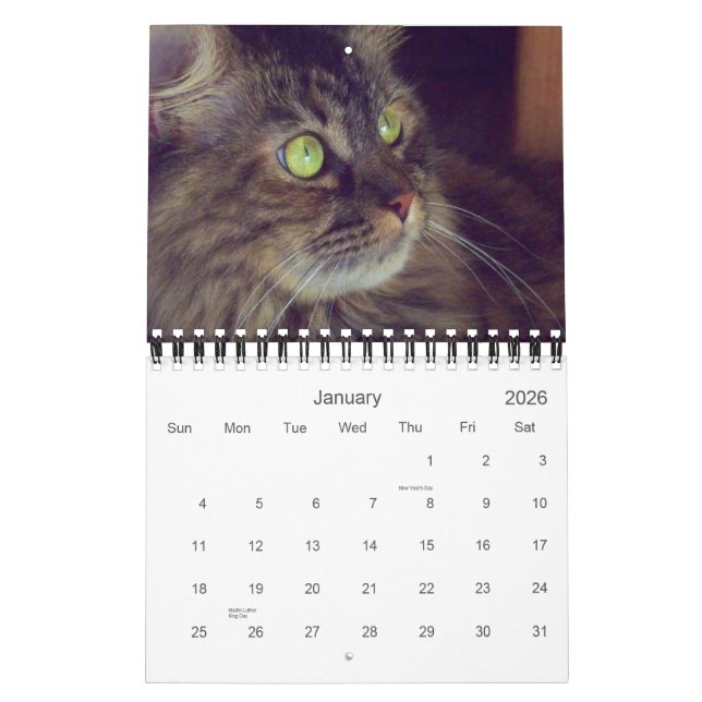 2010 Maine Coon Calendar (Jan 2026)