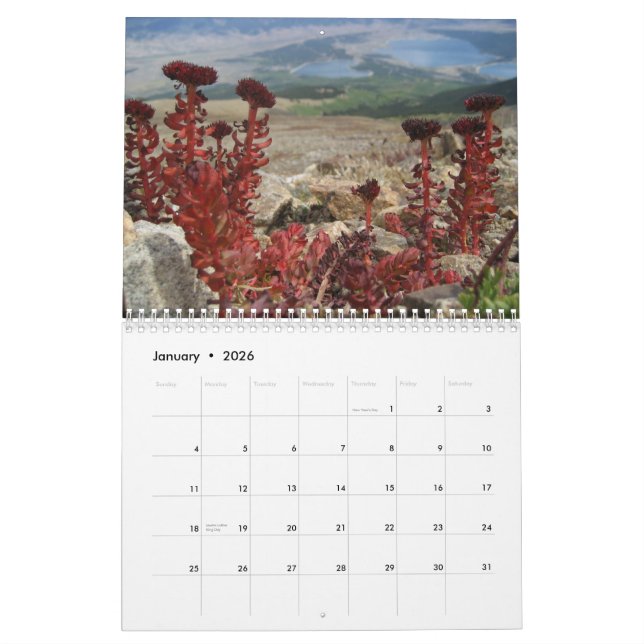 2010 Nature Calendar (Jan 2026)