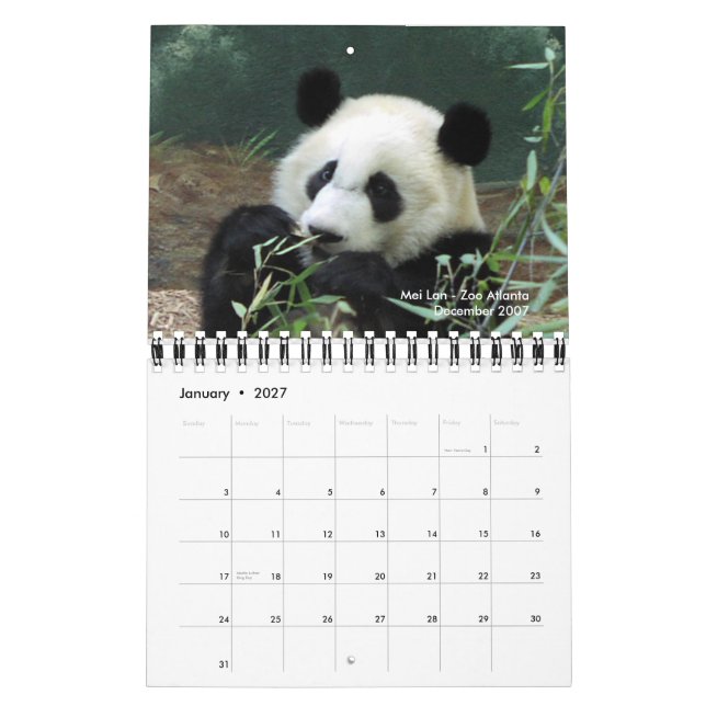 2010 Panda Calendar (Jan 2027)