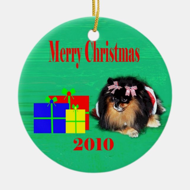 2010 peb 2 ceramic ornament (Front)