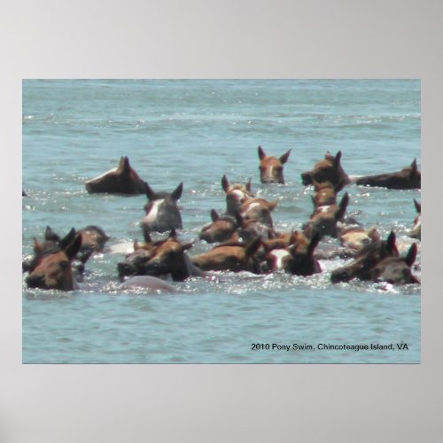 2010 Pony Swim Chincoteague Island VA Poster