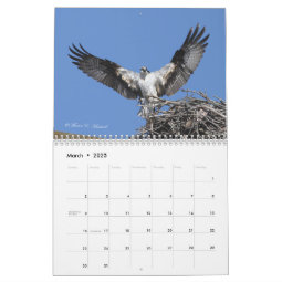 2010 Raptor Calendar | Zazzle