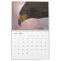 2010 Raptor Calendar | Zazzle